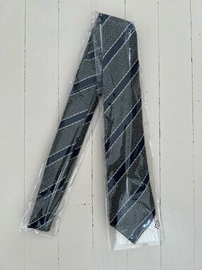 NWT Suitsupply Green and Navy Diagonal Stripe Tie